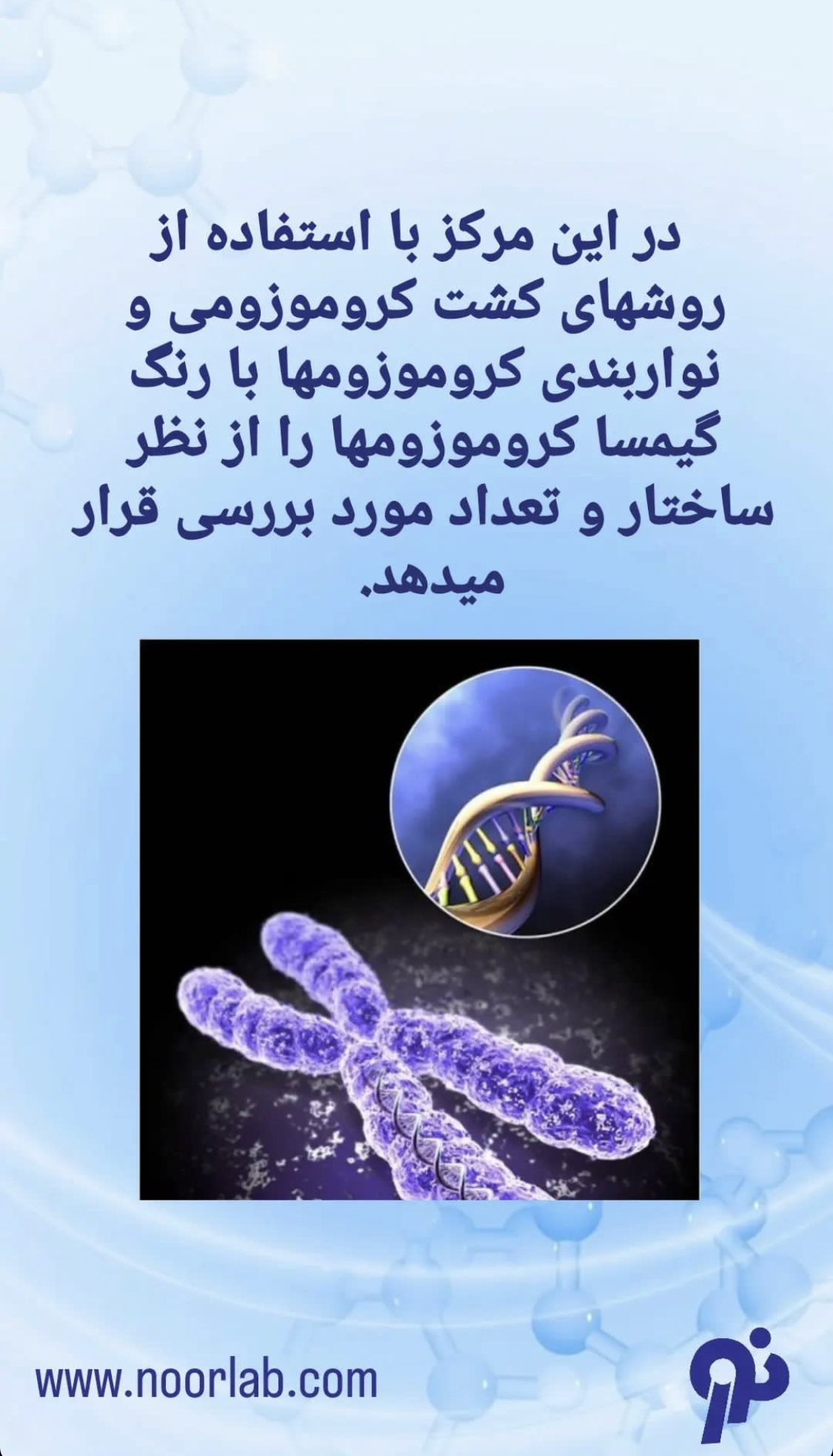 کروموزوم و DNA